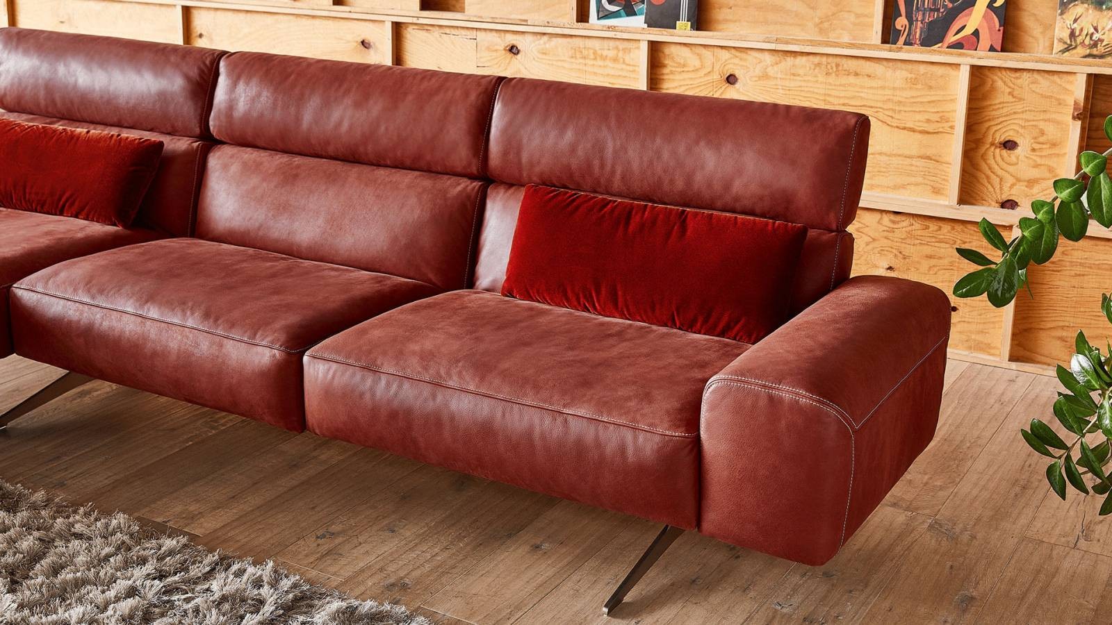 Canapea modernă Koinor Monroe 